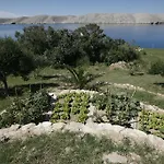 شقة Roza