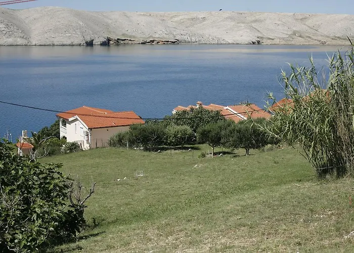 Roza Miškovići