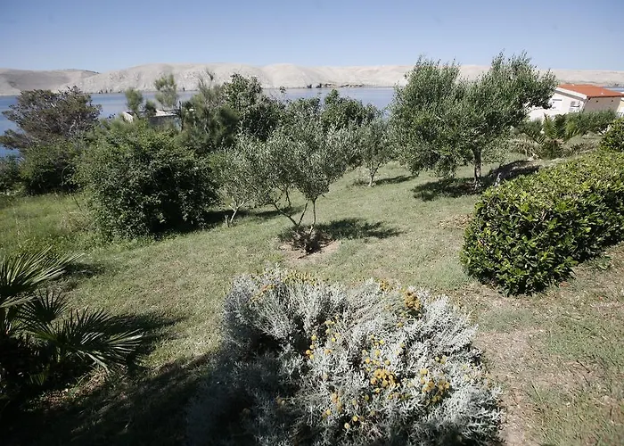 Apartmán Roza *