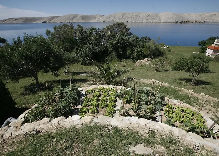 Διαμέρισμα Roza