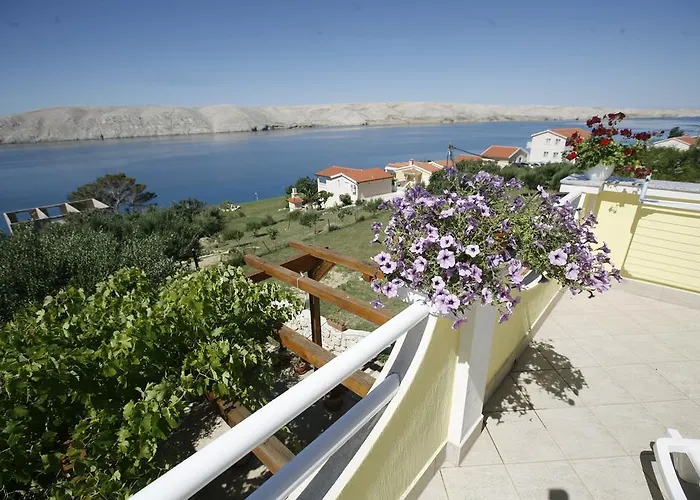 Apartmán Roza