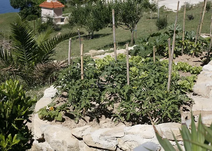Roza Miškovići