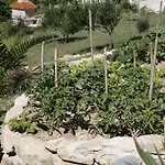 Roza Miškovići
