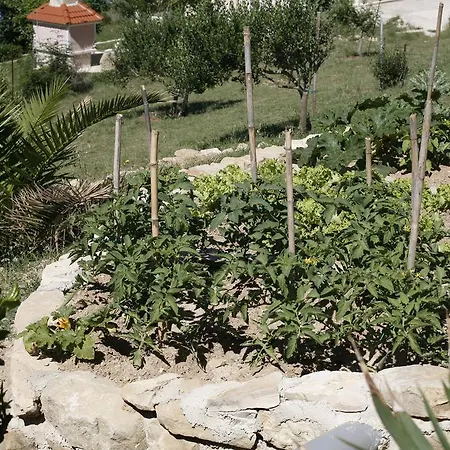 Roza Miškovići