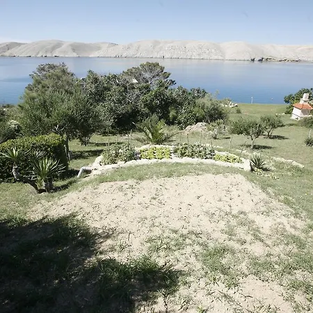 Apartment Roza
