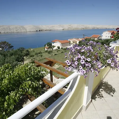 Apartment Roza